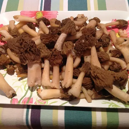 ベッド・アンド・ブレックファスト La Maison De Maidara *