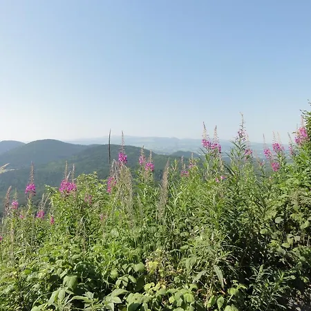 ベッド・アンド・ブレックファスト La Maison De Maidara