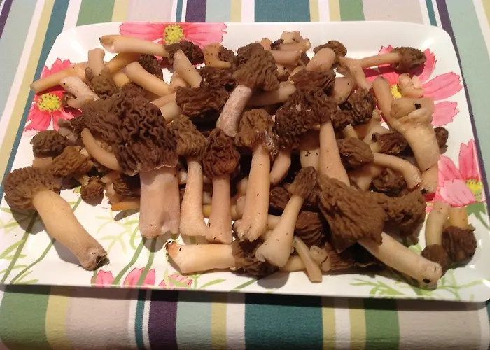 Nocleg ze śniadaniem La Maison De Maidara *